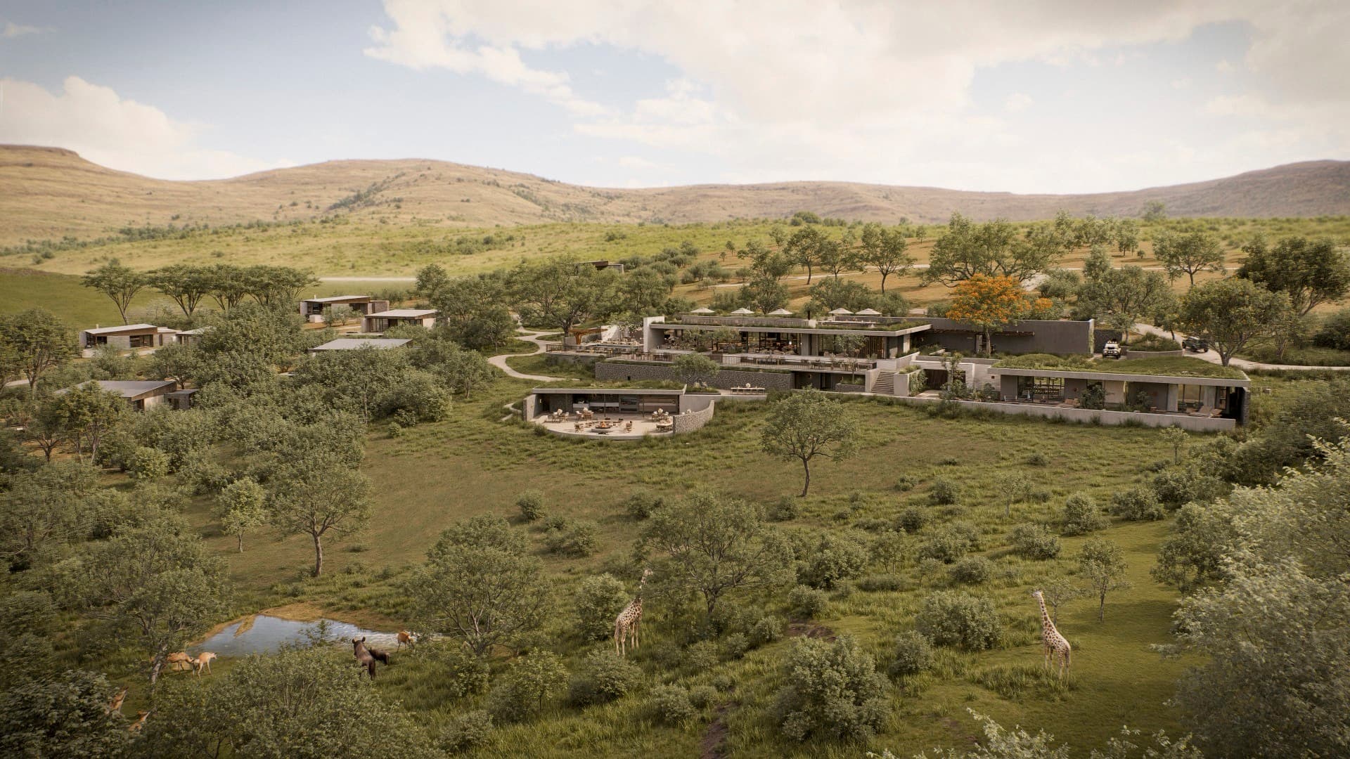 The Heart of Manyoni Ridge